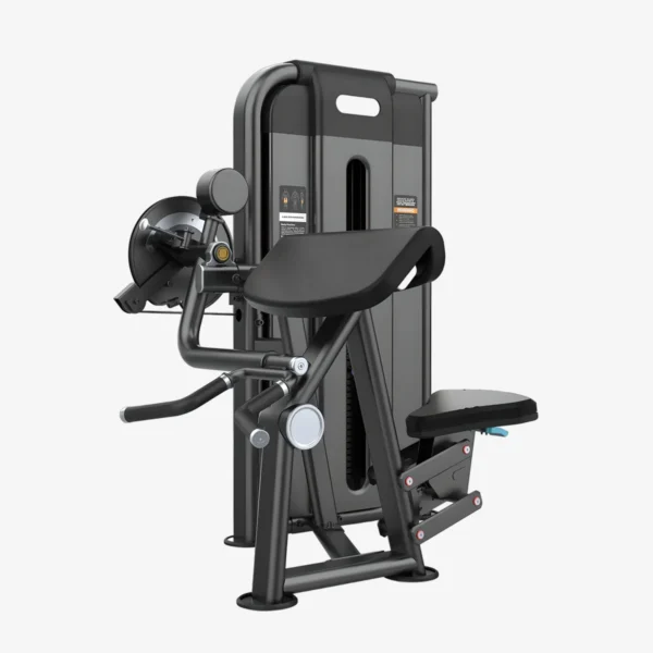 Camber curl y triceps de peso integrado