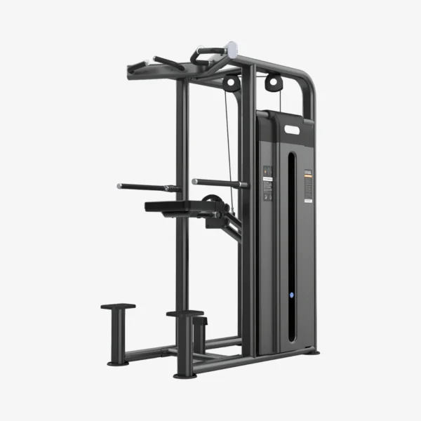 Chin dip assist de peso integrado